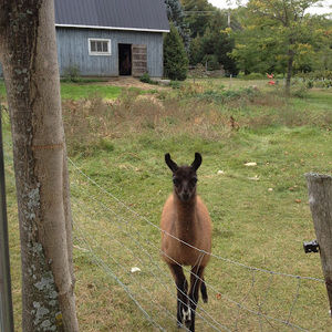 Meet your Posher, Kay